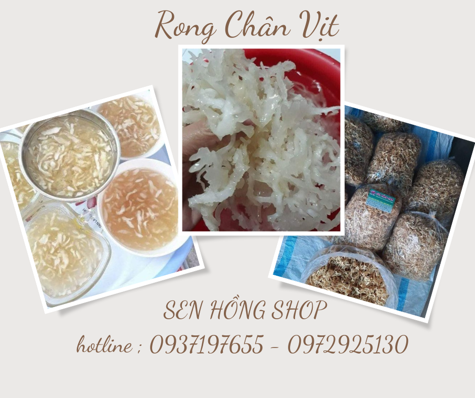 Rong chân vịt túi 500g Hút Chân Không-97