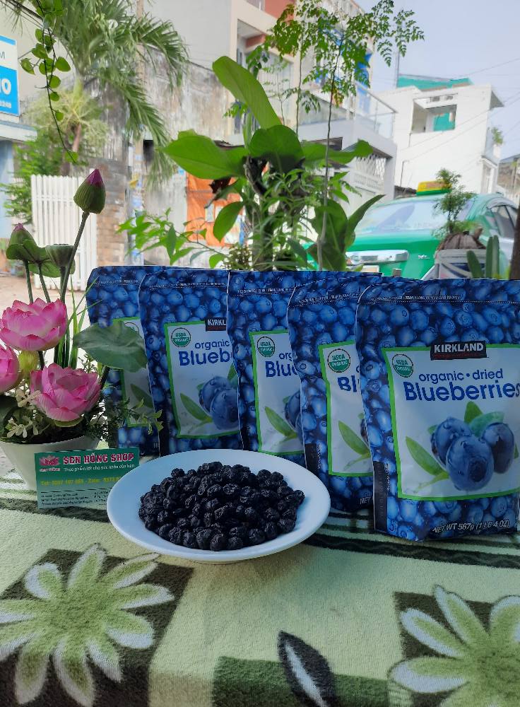 Quả Việt Quất sấy khô Organic Kirkland Blueberries túi 567g -349
