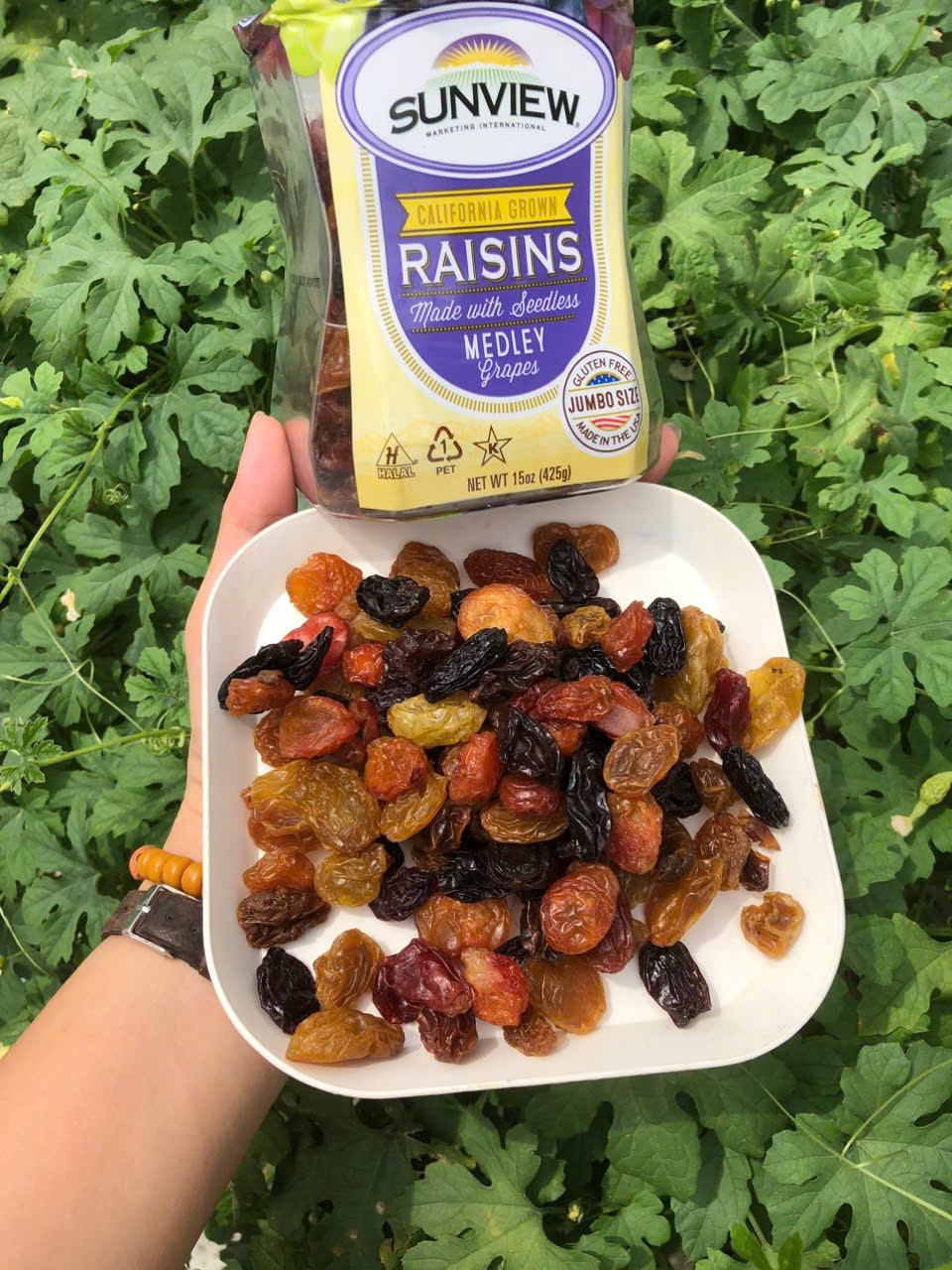 🍽️ HƯỚNG DẪN SỬ DỤNG NHO KHÔ MỸ SUNVIEW RAISINS